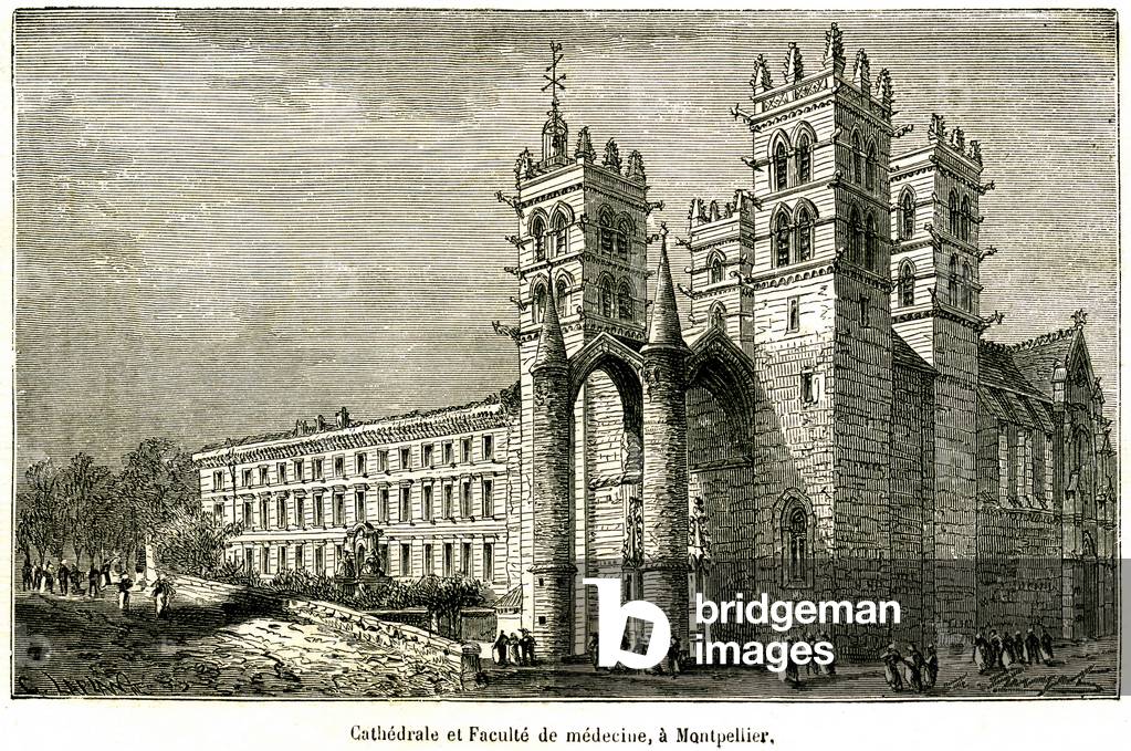 Languedoc: Montpellier in the 19th century. Cathedrale and faculty of medicine. Engraving extracted from “Geographie du département de l'Herault by Alphonse Joanne” edition Hachette 1883.