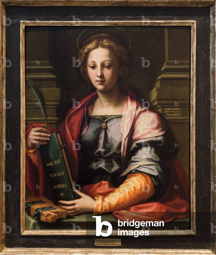Saint Catherine of Alexandria, 1520-30 (oil on panel)