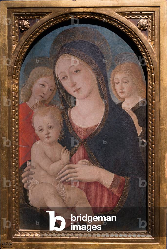 Madonna and Child with two angels, c.1480 (oil on panel)
