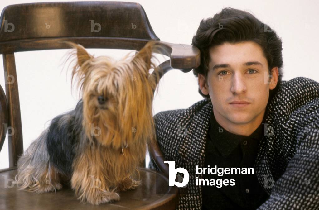 Patrick Dempsey