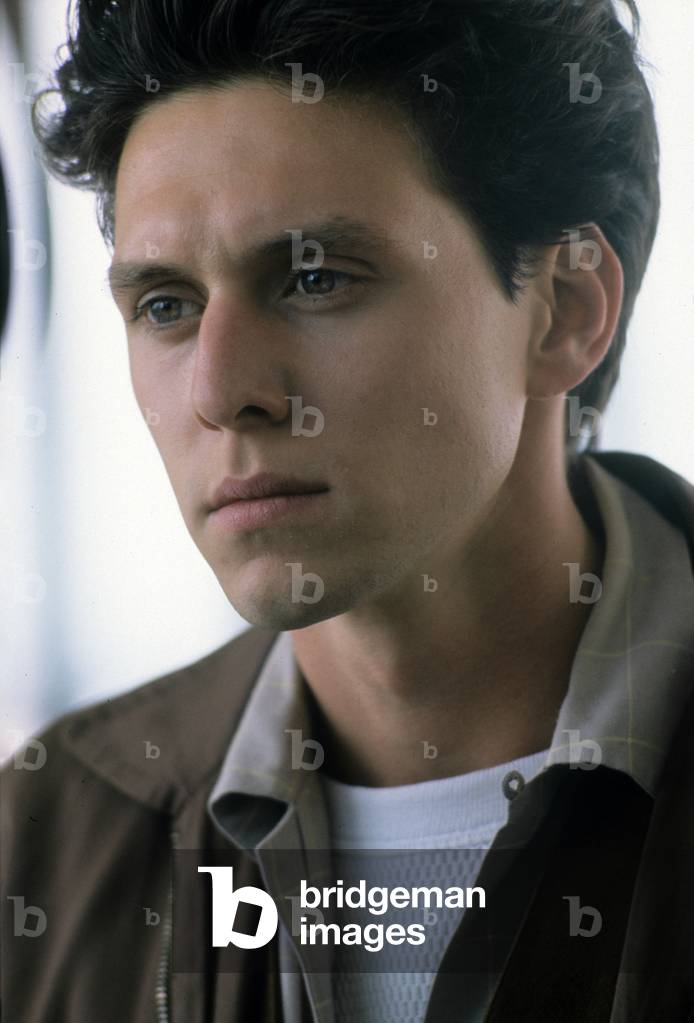 The share of the snake