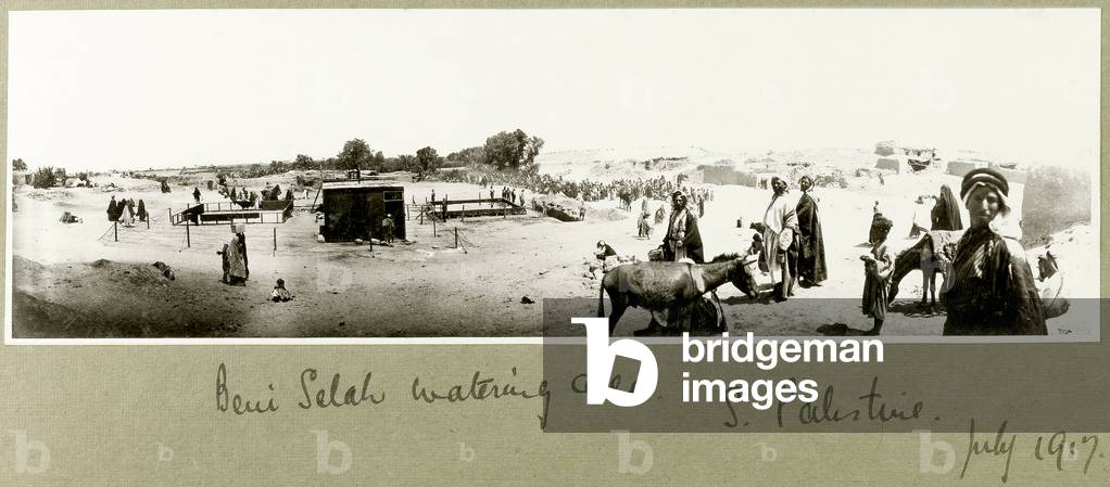 Beni Saleh watering area, July 1917 (b/w photo)