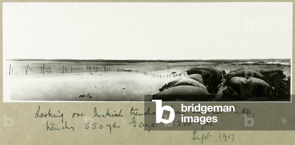 Looking over Turkish trenches from Samson Ridge, September 1917 (b/w photo)