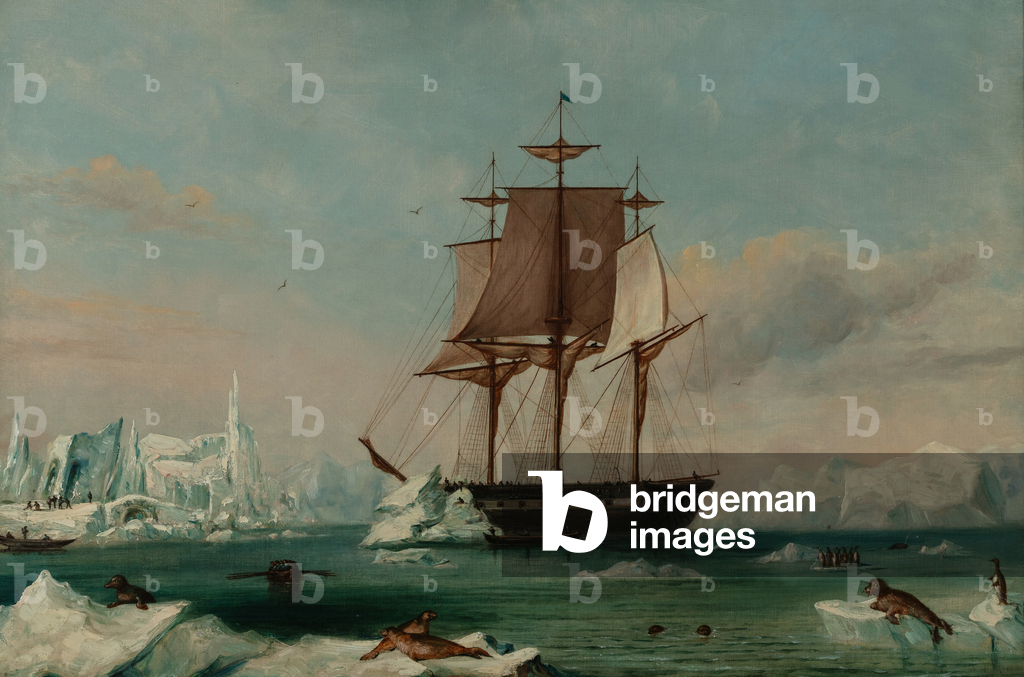 Image of Painting depicting USS Vincennes in Disappointment Bay (oil on canvas), 19th century by Captain Charl