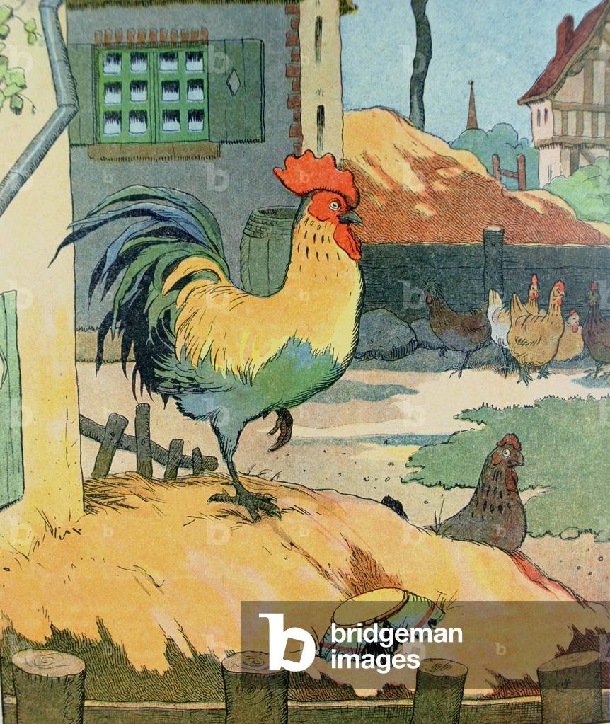 Immagine di Incisione "il gallo", 20th Secolo di Benjamin Rabier