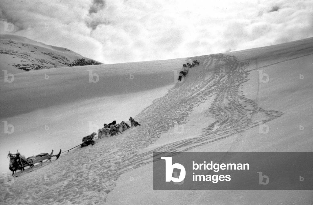 Dogs sleigh, foreground: the sleigh of Paul-Emile Victor, east coast of Greenland, Winter, 1936-37 (b/w photo)