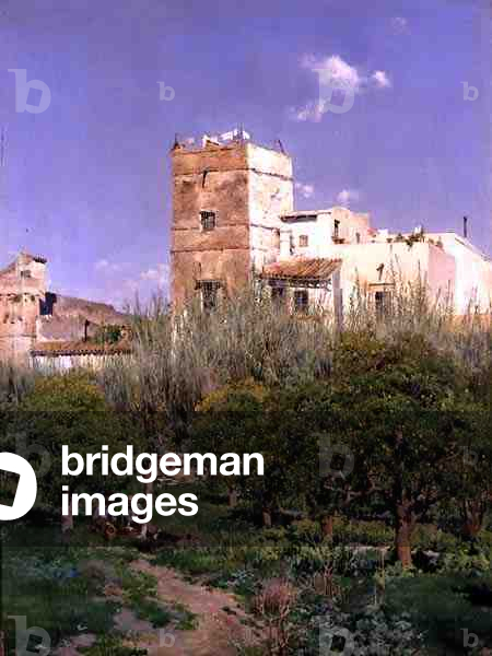 In the Orange Grove, 1881 (oil on panel)