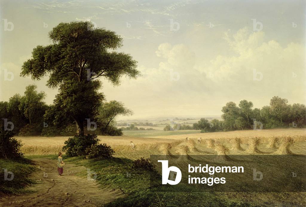 Ernte (Öl auf Leinwand)