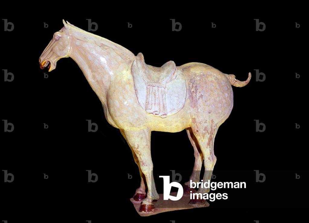 China: Glazed ceramic horse, Tang Dynasty (618 - 907 CE), Shanghai Museum, Shanghai