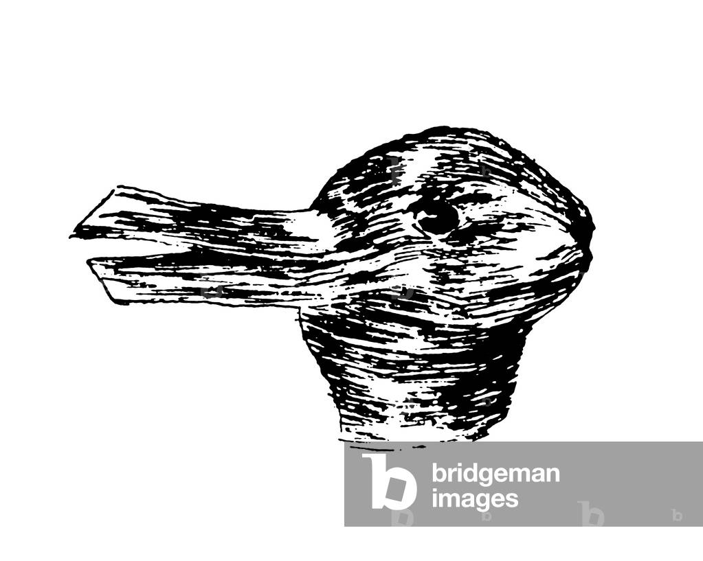 USA: Duck-Rabbit optical illusion by American psychologist Joseph Jastrow (1899)