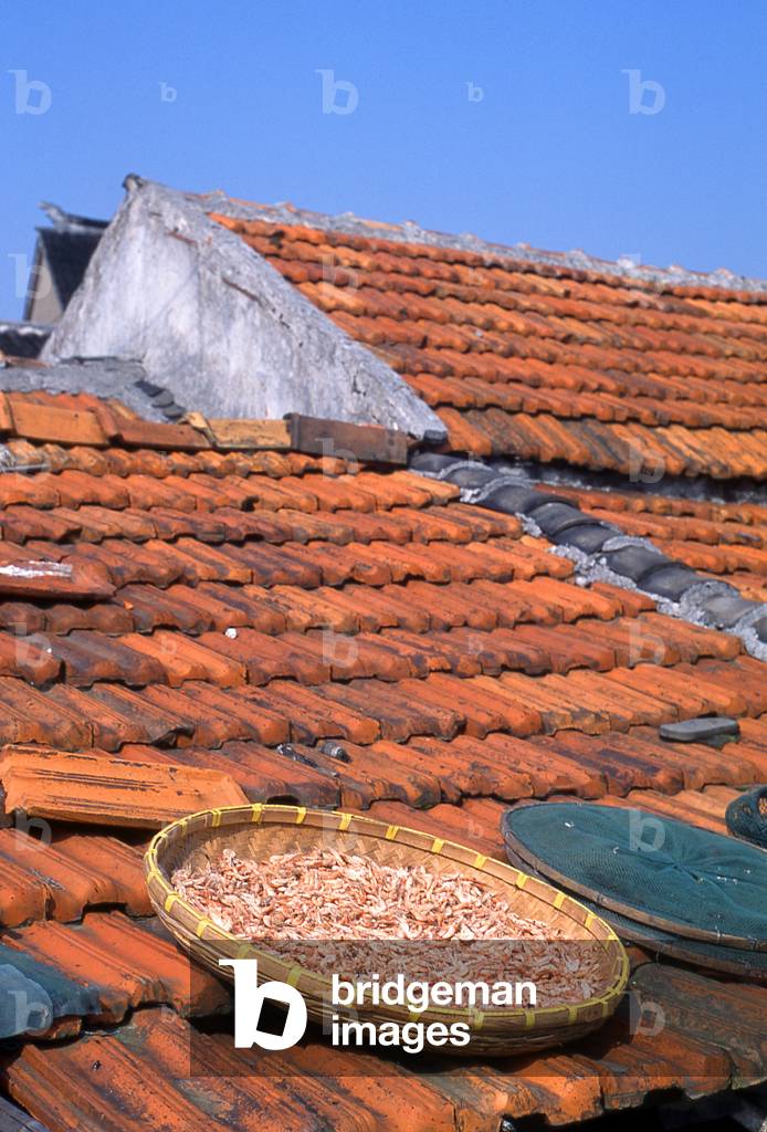 China: Prawns drying on a roof in the 'Water Town' of Zhouzhuang, Jiangsu Province