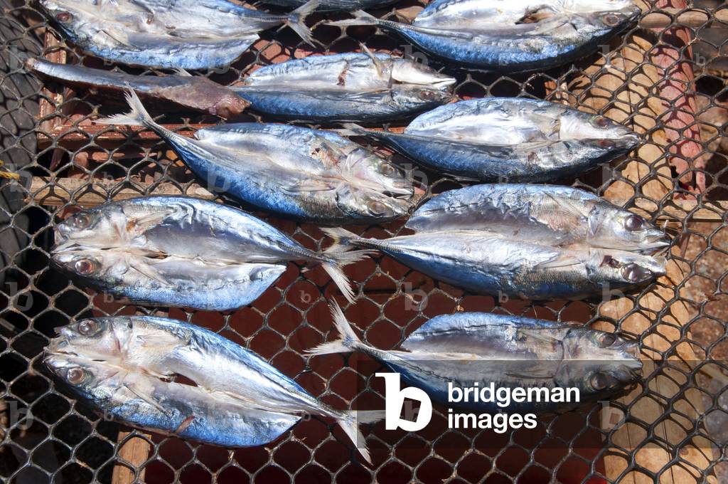 Thailand: Fish drying at Ban Laem Kruat pier, ferry point for the islands of Ko Si Boya and Ko Jam, Krabi Coast