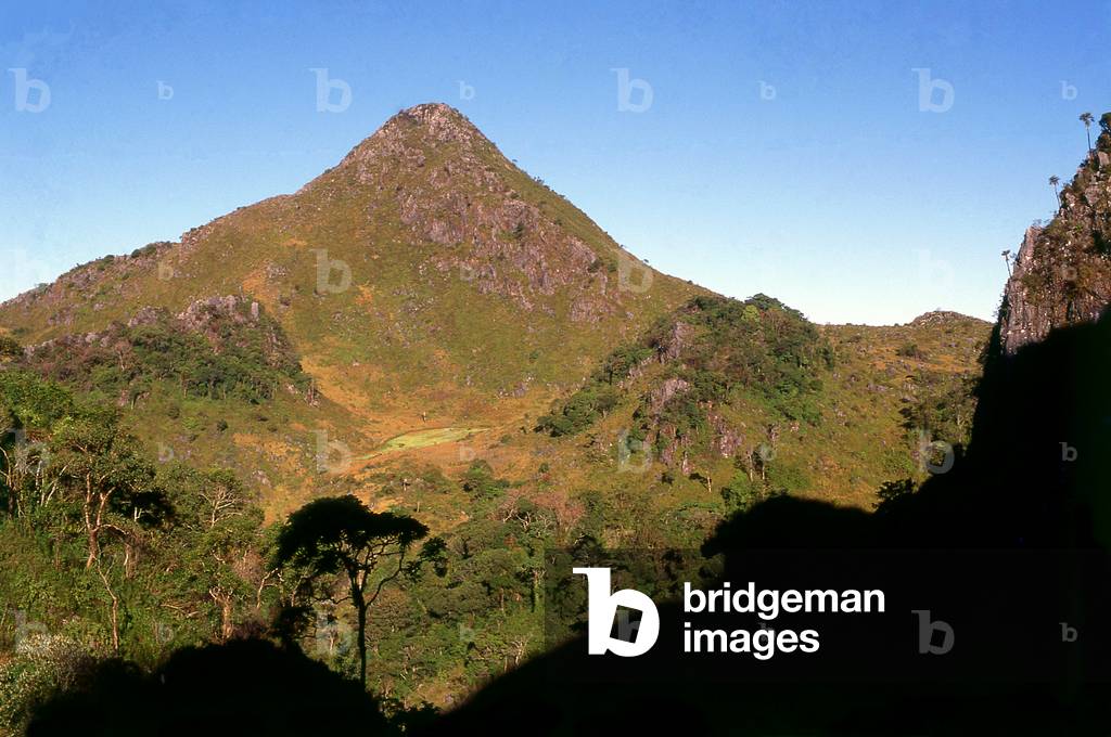 Thailand: A remote poppy field (the lighter green patch in the middle of the picture) on Doi Luang Chiang Dao, northern Thailand, c. 1995
