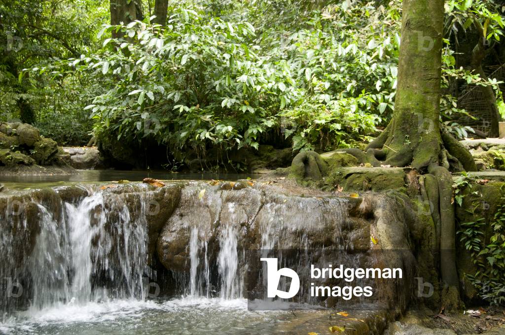 Thailand: One of the park's many emerald pools, Than Bokkharani National Park, Krabi Province