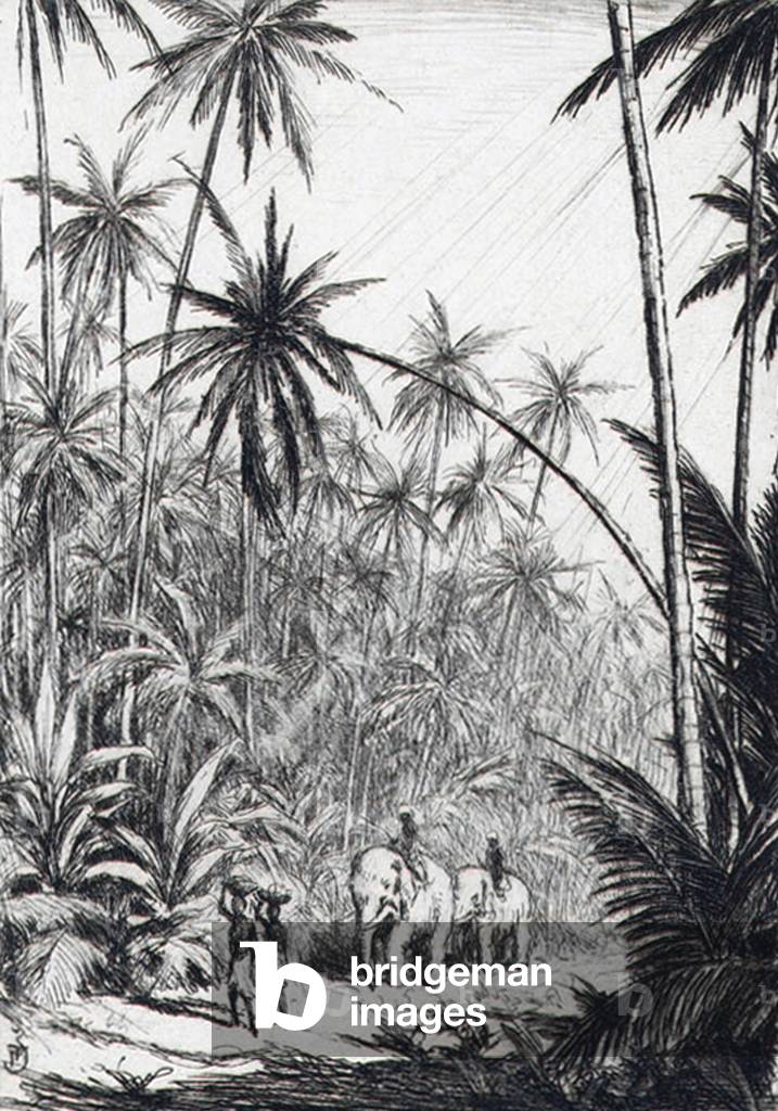 Sri Lanka: Elephant riders passing through coconut plantations in the rain, c.1928