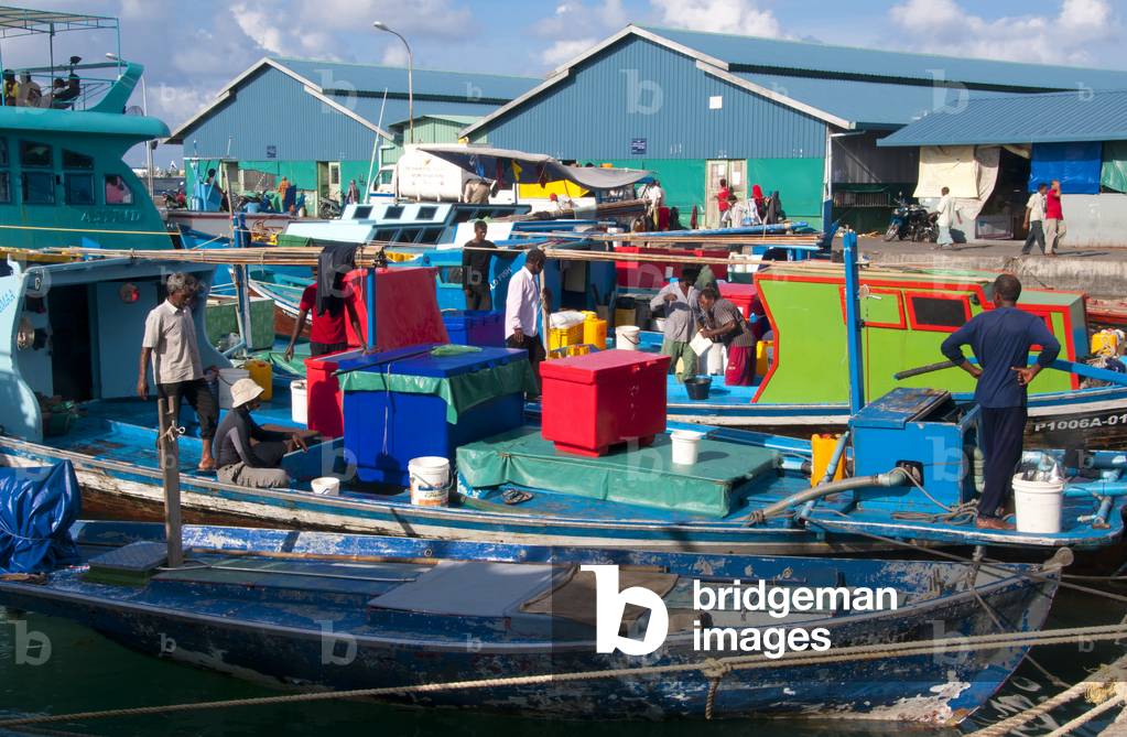 Maldives: Fishing boats in the inner harbour, Male, North Male Atoll