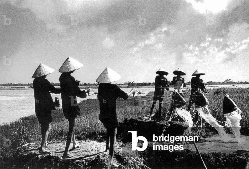 Vietnam: Farmers irrigating ricefields near Hoi An (1950)
