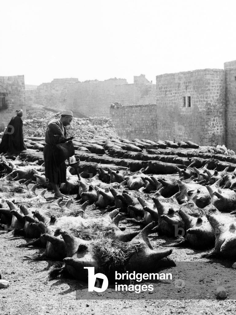 Palestine: A water-skin tannery, c. 1910
