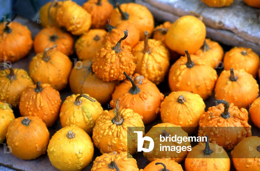 China: Pumpkins for sale in a market in Haikou, Hainan Province (photo)