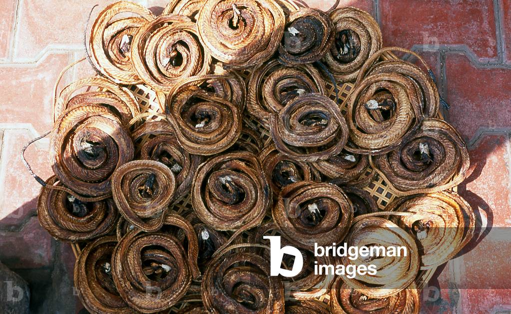 Vietnam: Dried snakes used for herbal remedies outside a spices and herbal shop, Cholon, Saigon, Ho Chi Minh City