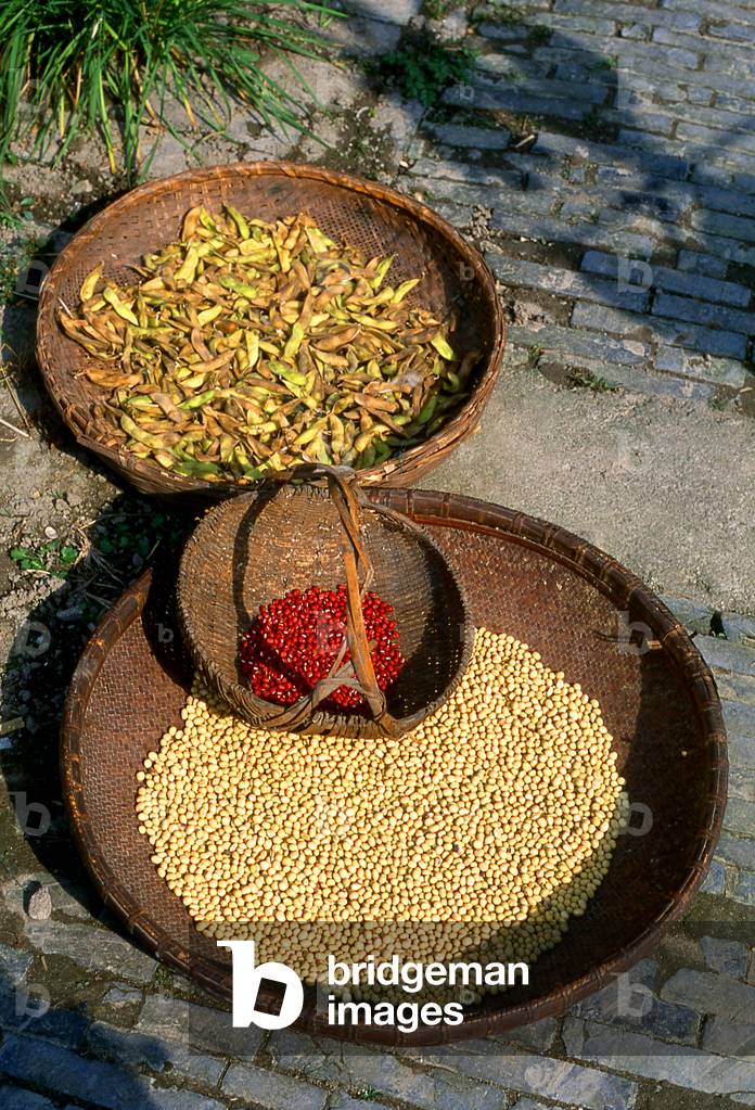 China: Seeds and pulses drying in the Water Town of Zhouzhuang, Jiangsu Province