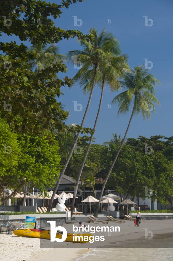 Thailand: Coconut palms and visitors, Chaweng Bay (Ao Chaweng), Ko Samui (photo)