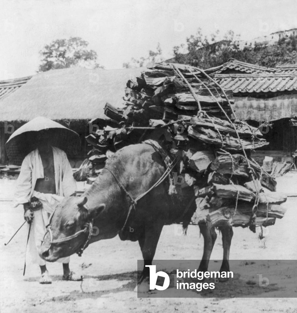 Korea: A farmer bringing firewood to market in the suburbs of old Seoul, near the South Gate, early 20th century
