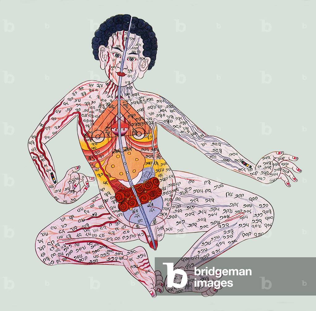 China / Tibet: Traditional anatomical chart showing chakras and energy channels