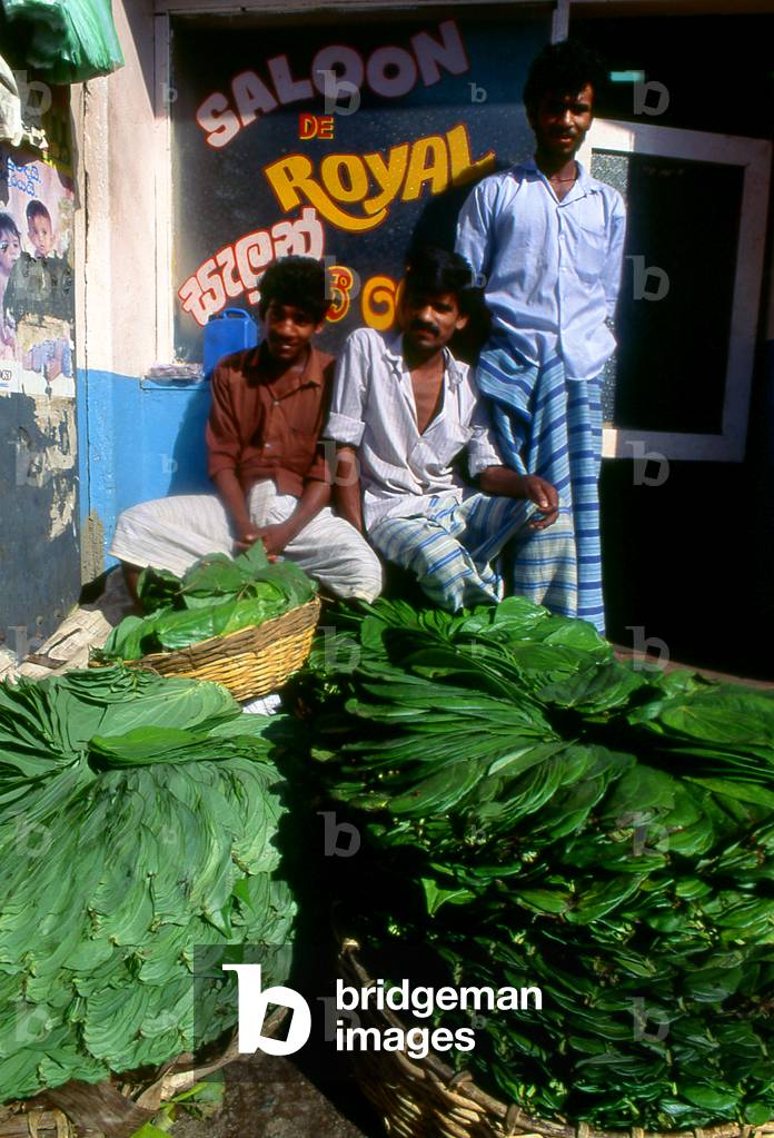 Sri Lanka: Betel leaves (used for making a betel quid or paan, a mild stimulant) in a market, Bandarawela, Uva Province (1998)