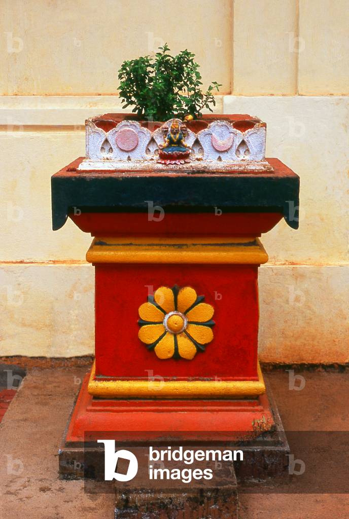 India: The 'Tulasi chaura' or Holy Basil podium at the front of the Hindu Shri Damodar Temple, Zambaulim, Goa
