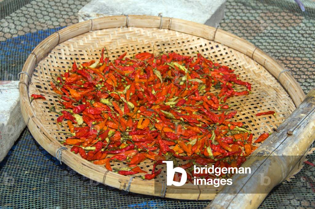 Thailand: Red chillies drying in the sun at Hat Ao Noi, Prachuap Khiri Khan Province