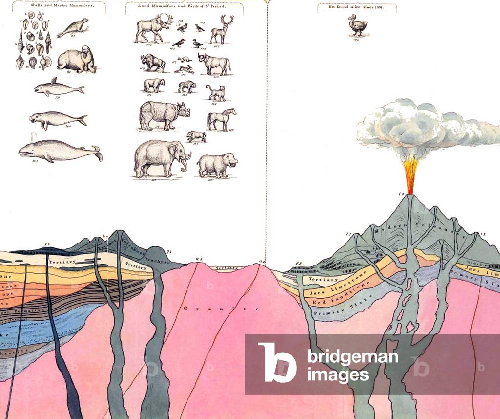 England / UK: Section of the earth's crust with extinct animals and fossils, from William Buckland, Geology and Mineralogy considered with respect to Natural Theology (1837), vol. 2