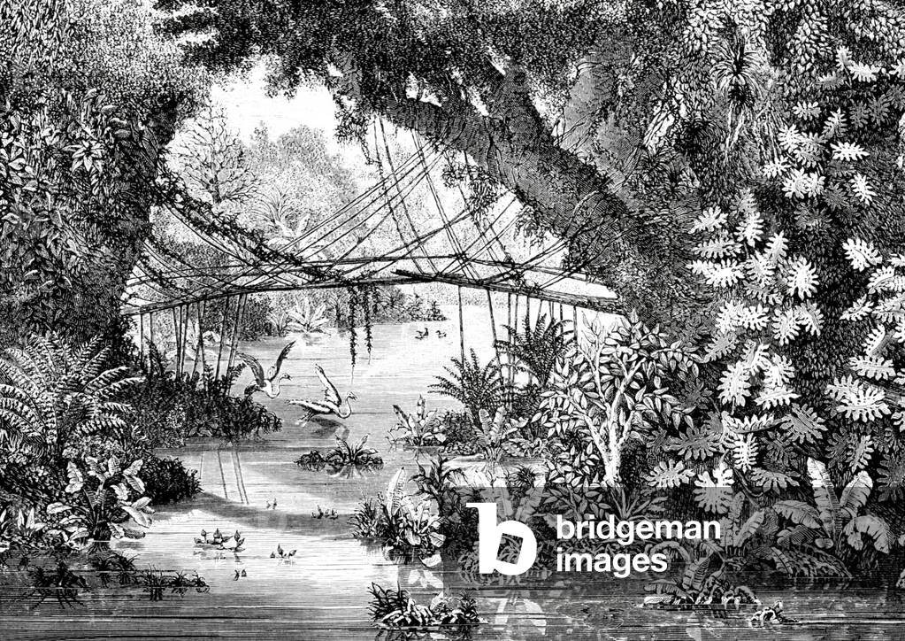 Laos/ Thailand: an idyllic Mekong rainforest scene with bamboo bridge over a stream in Chiang Khong, illustrated by French expeditioner Louis Delaporte in June 1867.