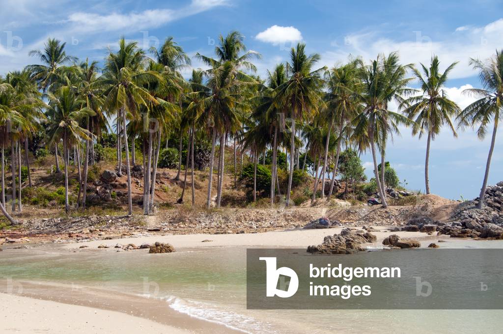 Thailand: Hat Khlong Khong, Ko Lanta, Krabi Province