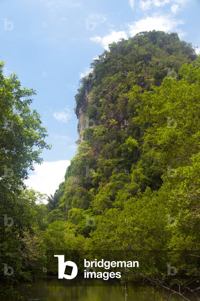 Thailand: Limestone outcrops and mangroves in Than Bokkharani National Park, Krabi Province