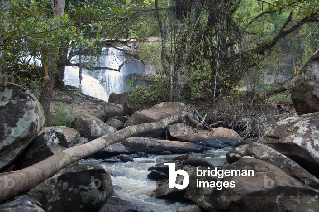 Thailand: Tat Huang Waterfall (Namtok Nam Hueang), also know as the Thau-Lao Waterfall or the International Waterfall, Phu Suan Sai National Park, Loei Province