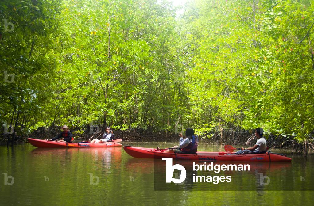 Thailand: Kayakers in the mangroves, Than Bokkharani National Park, Krabi Province