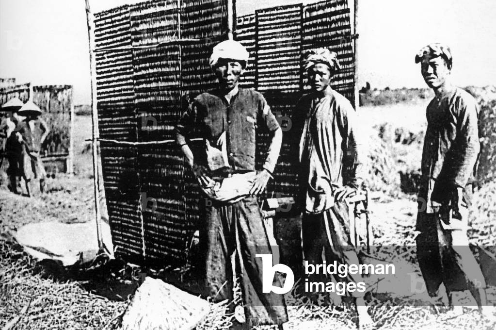 Vietnam: Farmers pose for the camera near Saigon (early 20th century)