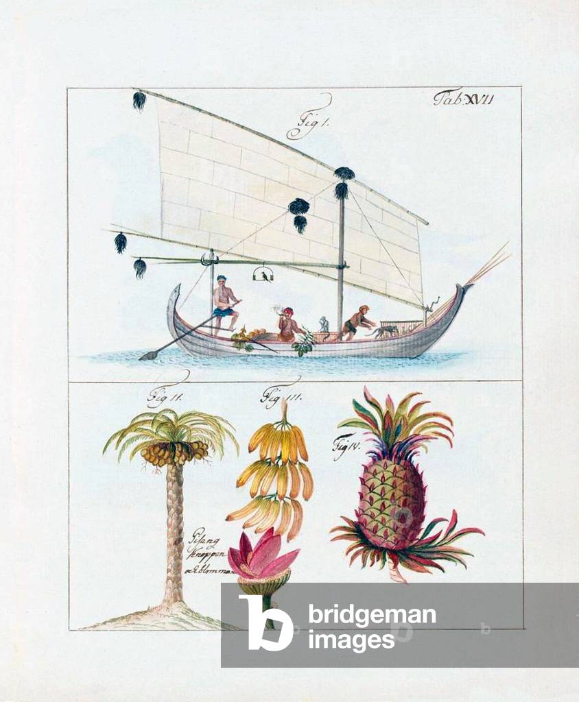 China: Images from the Swedish East India Company of 1746 - Local vessel selling a variety of fruits.