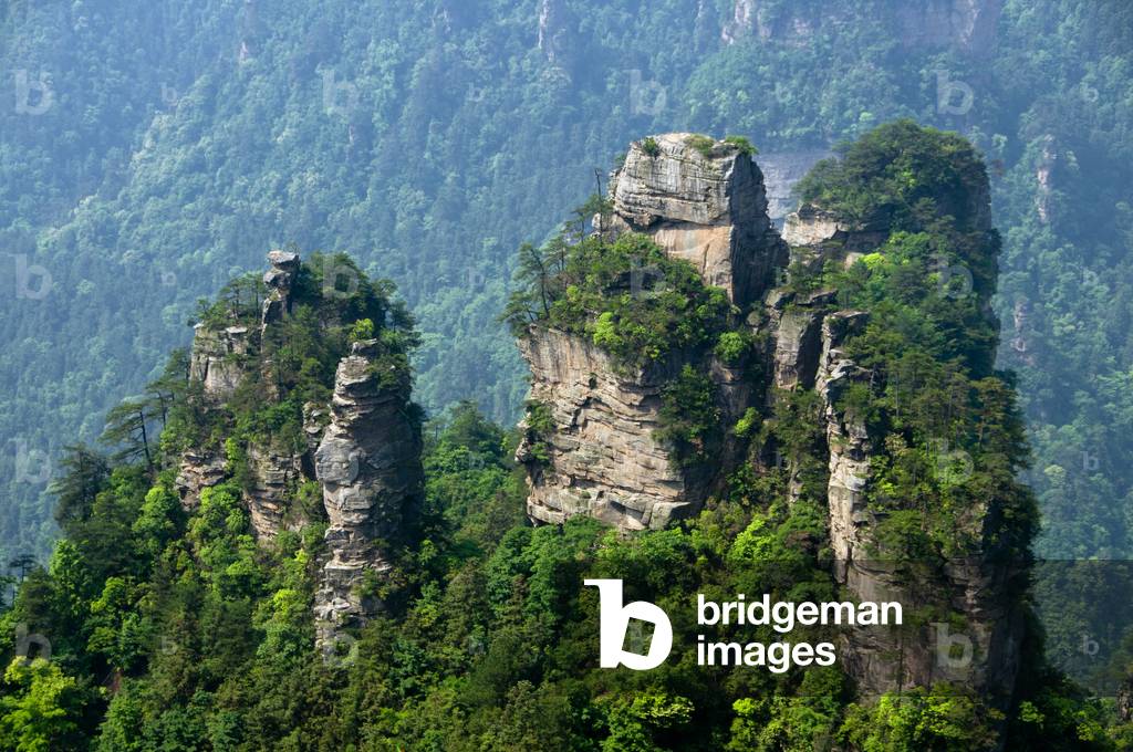China: Quartzite sandstone pillars and peaks, Wulingyuan Scenic Area, Hunan Province