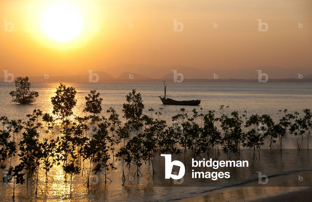 Thailand: Mangroves and a fishing boat in the evening light at Bang Saphan Yai, Prachuap Khiri Khan Province, southern Thailand