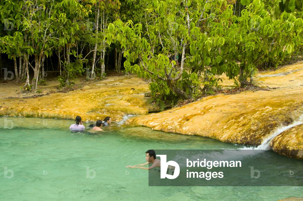 Thailand: Sra Morakot (Emerald Pool), Tung Tieo Forest Trail, Khao Pra - Bang Khram Wildlife Sanctuary, Krabi Province