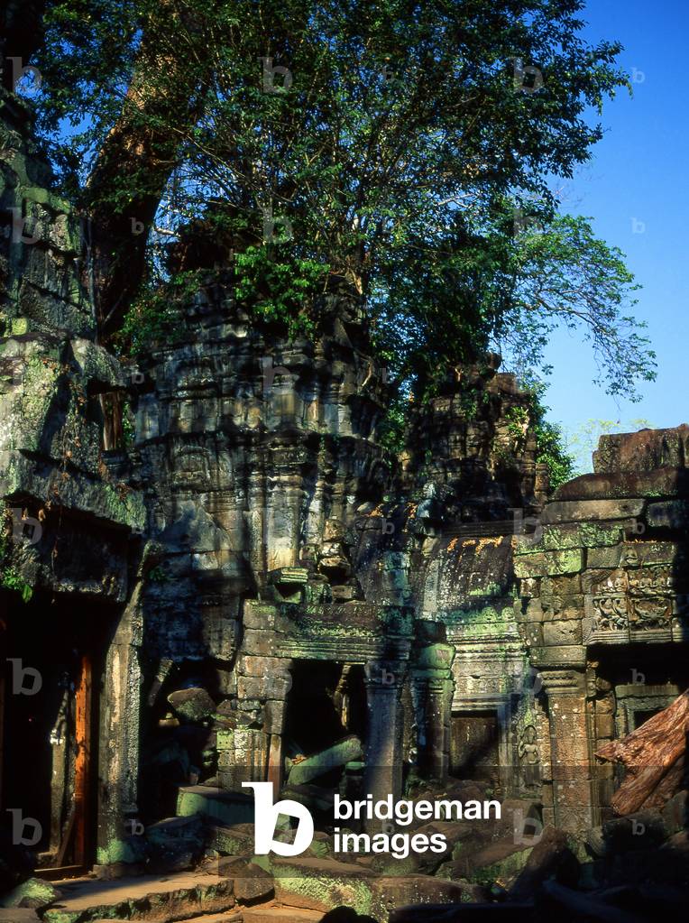 Cambodia: Ta Prohm, Angkor