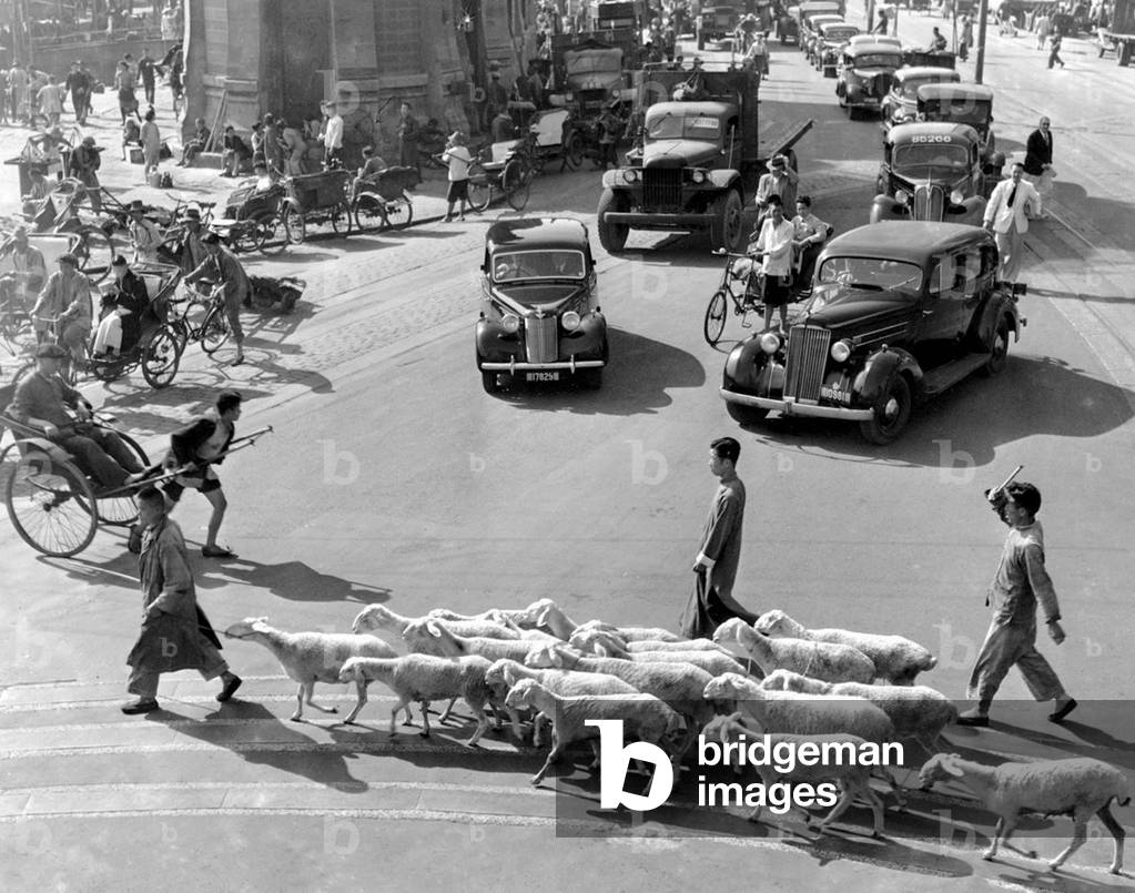 China: Urban shepherds with a flock of sheep in busy downtown Shanghai, 1947