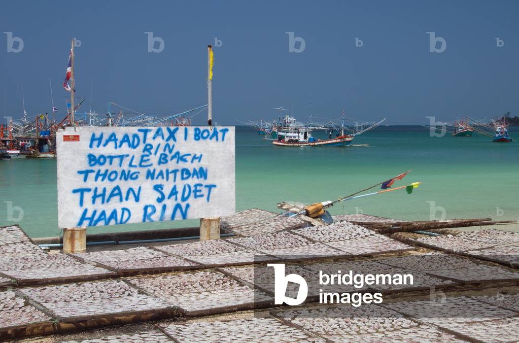 Thailand: Squid drying in the sun, Chalok Lam Bay (Ao Chalok Lam), Ko Phangan