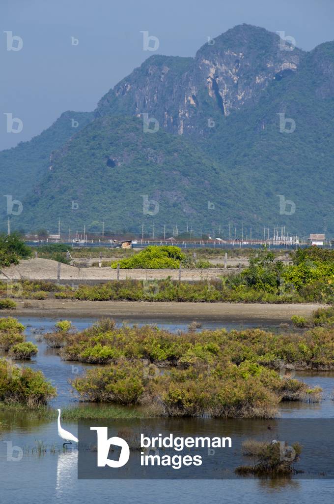 Thailand: Khao Sam Roi Yot National Park, Prachuap Khiri Khan Province