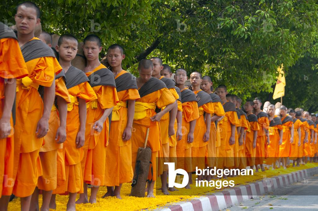 Thailand: Some of the 500 dhutanga monks processing around Chiang Mai's central moat on a bed of flower petals. April 9, 2014