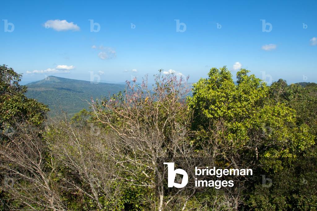 Thailand: View from the summit of Phu Luang Wildlife Sanctuary, Loei Province