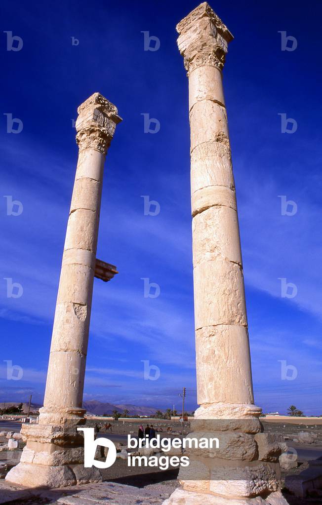 Syria: Pillars, Palmyra