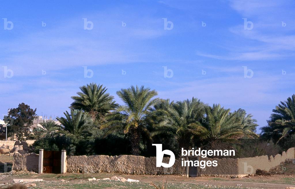 Syria: Typical walled house compound found in modern Tadmur (Palmyra)